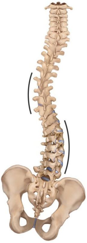 Elongația mecanică a coloanei vertebrale